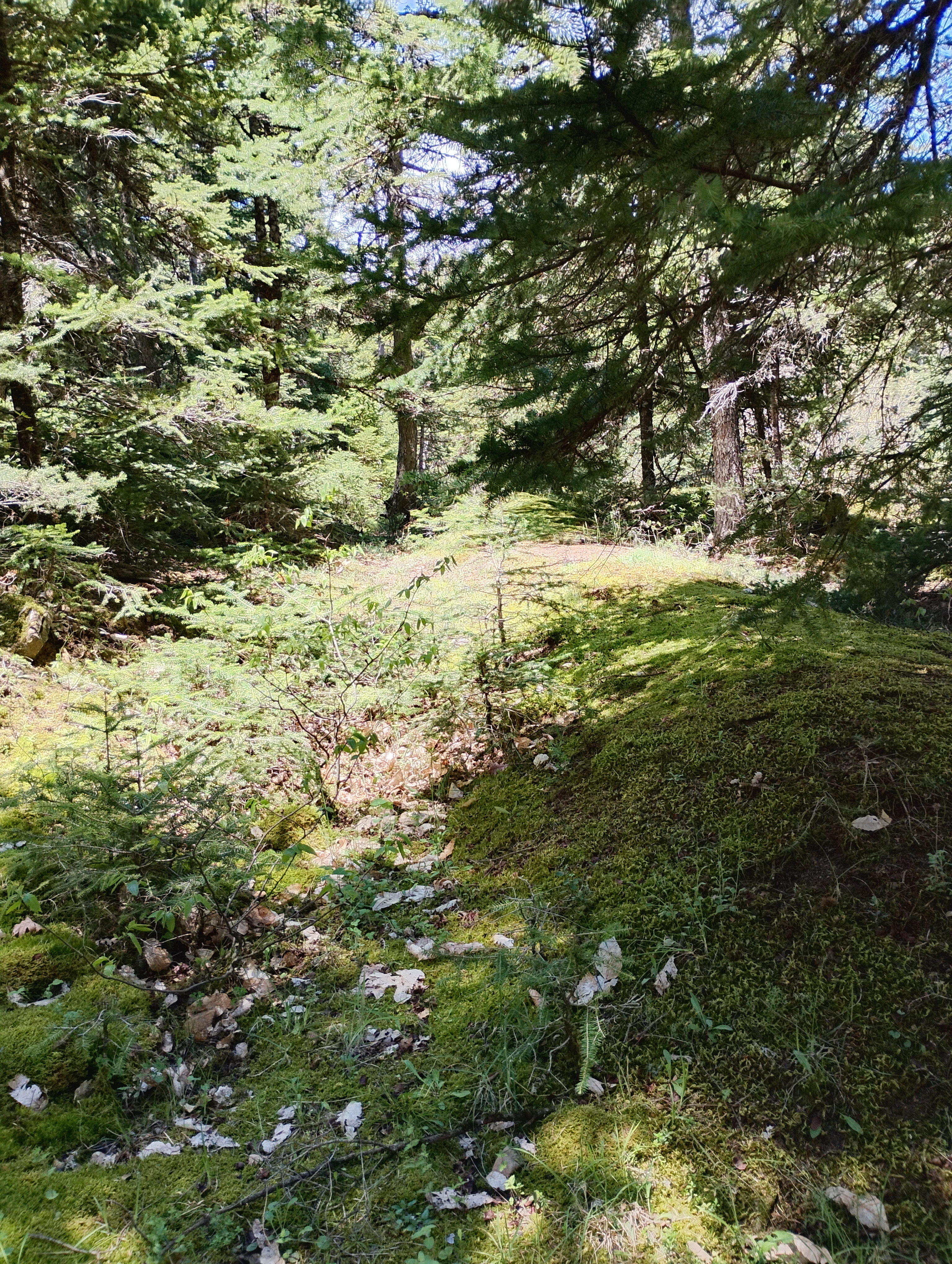 IMG 20260502 130835 hdr