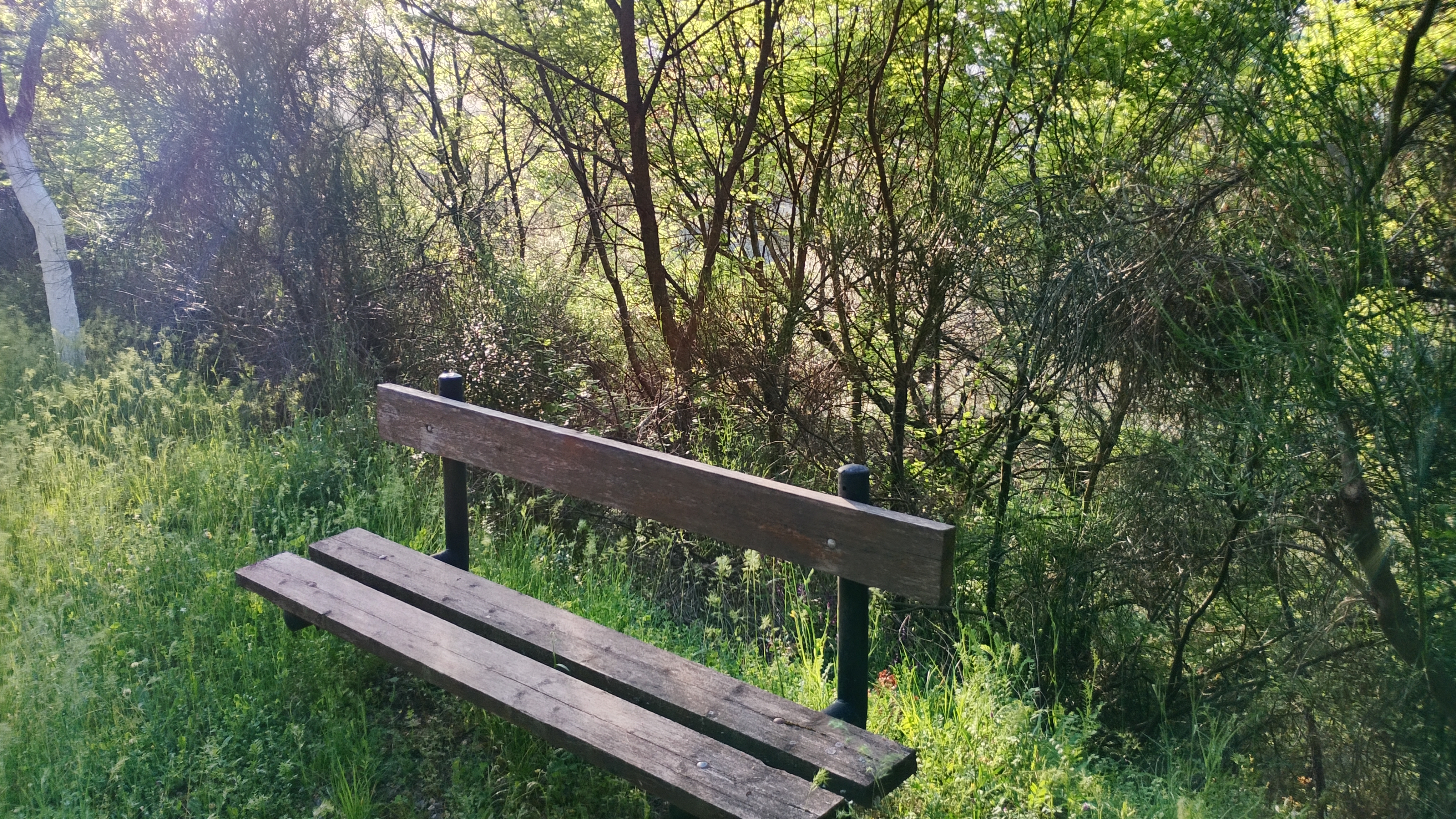 IMG 20260510 071836 hdr