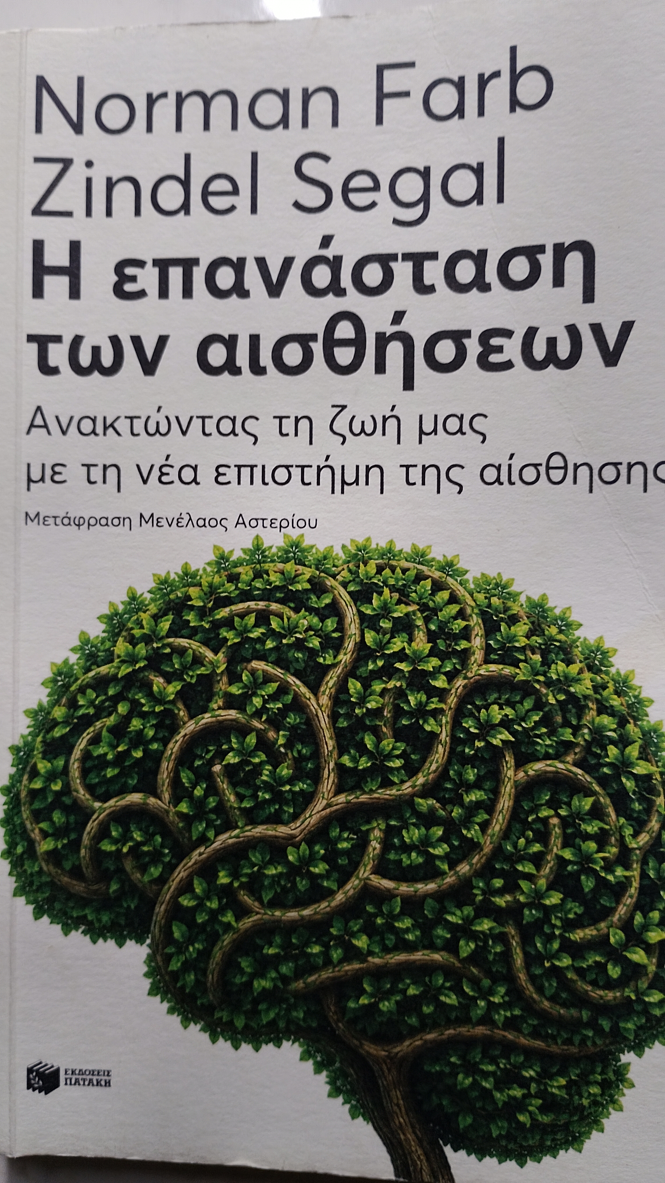 i epanastasi ton aisthiseon